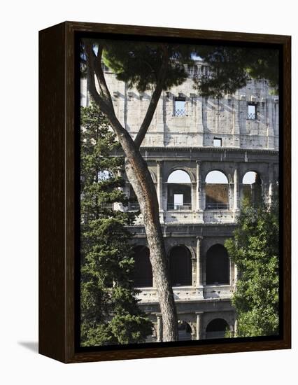 The Colosseum-Max Power-Framed Premier Image Canvas