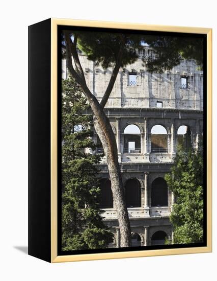 The Colosseum-Max Power-Framed Premier Image Canvas