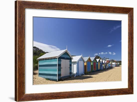 The Colourful Brighton Bathing Boxes Located on Middle Brighton Beach, Brighton, Melbourne-Cahir Davitt-Framed Photographic Print