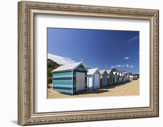 The Colourful Brighton Bathing Boxes Located on Middle Brighton Beach, Brighton, Melbourne-Cahir Davitt-Framed Photographic Print