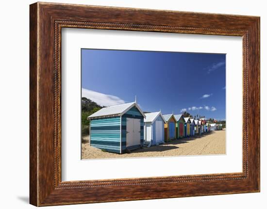 The Colourful Brighton Bathing Boxes Located on Middle Brighton Beach, Brighton, Melbourne-Cahir Davitt-Framed Photographic Print