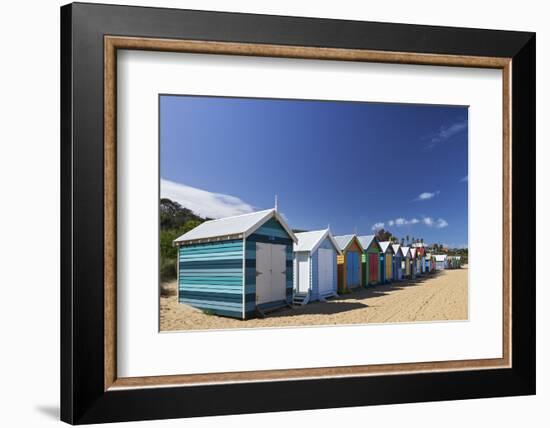 The Colourful Brighton Bathing Boxes Located on Middle Brighton Beach, Brighton, Melbourne-Cahir Davitt-Framed Photographic Print