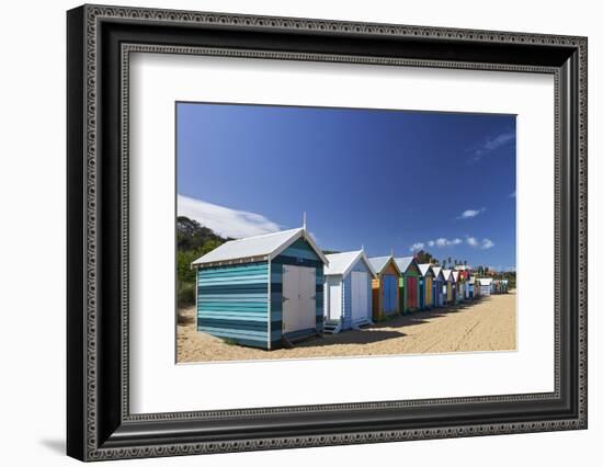 The Colourful Brighton Bathing Boxes Located on Middle Brighton Beach, Brighton, Melbourne-Cahir Davitt-Framed Photographic Print