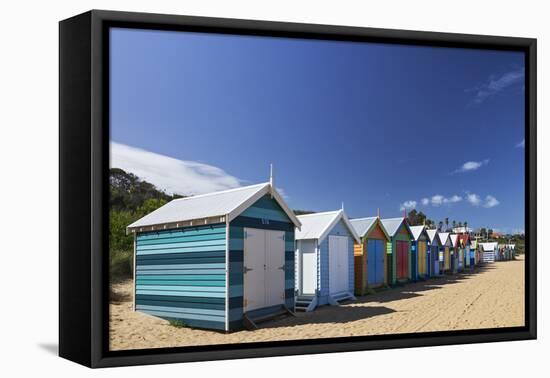 The Colourful Brighton Bathing Boxes Located on Middle Brighton Beach, Brighton, Melbourne-Cahir Davitt-Framed Premier Image Canvas