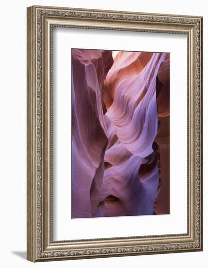 The colourful Navajo sandstone walls of Lower Antelope Canyon-David Tomlinson-Framed Photographic Print