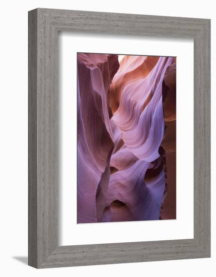 The colourful Navajo sandstone walls of Lower Antelope Canyon-David Tomlinson-Framed Photographic Print