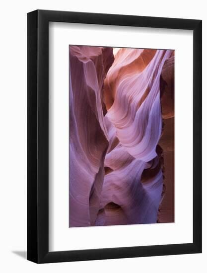 The colourful Navajo sandstone walls of Lower Antelope Canyon-David Tomlinson-Framed Photographic Print