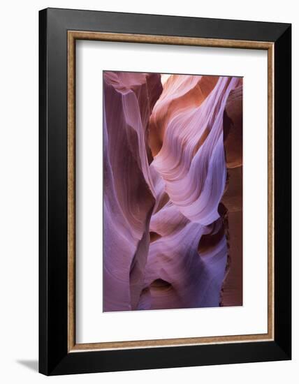 The colourful Navajo sandstone walls of Lower Antelope Canyon-David Tomlinson-Framed Photographic Print