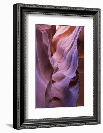 The colourful Navajo sandstone walls of Lower Antelope Canyon-David Tomlinson-Framed Photographic Print