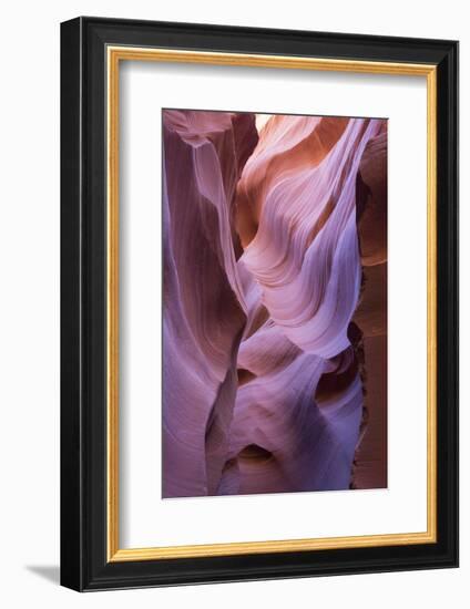 The colourful Navajo sandstone walls of Lower Antelope Canyon-David Tomlinson-Framed Photographic Print