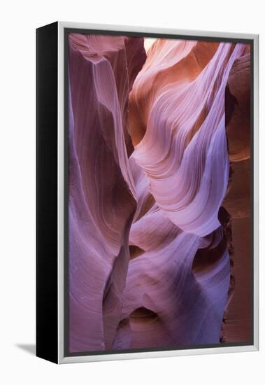 The colourful Navajo sandstone walls of Lower Antelope Canyon-David Tomlinson-Framed Premier Image Canvas