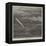 The Comet-null-Framed Premier Image Canvas