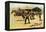 The Coming and Going of the Pony Express-Frederic Sackrider Remington-Framed Stretched Canvas