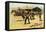 The Coming and Going of the Pony Express-Frederic Sackrider Remington-Framed Stretched Canvas