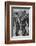 'The Commandos Were There', 1940-1942, (1943)-Unknown-Framed Photographic Print