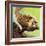 The Common Seal-English School-Framed Giclee Print