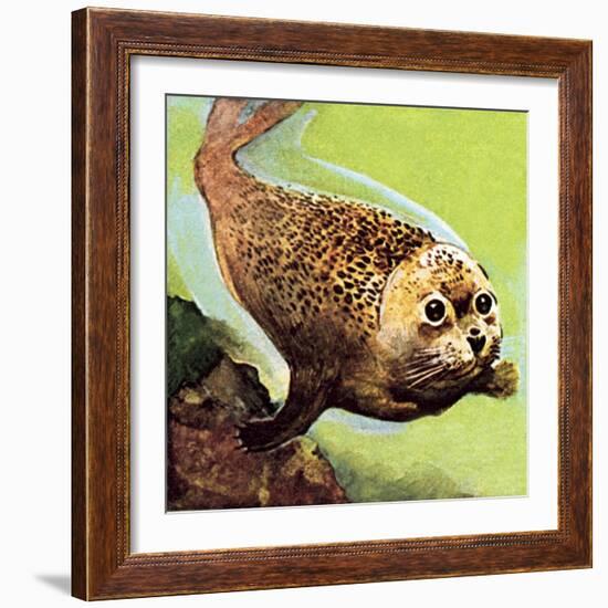 The Common Seal-English School-Framed Giclee Print