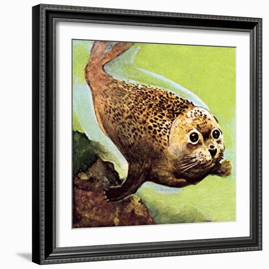 The Common Seal-English School-Framed Giclee Print