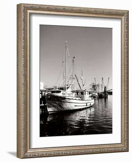 The Companera-Alan Hausenflock-Framed Photographic Print