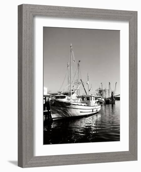 The Companera-Alan Hausenflock-Framed Photographic Print