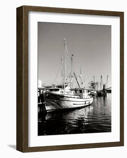 The Companera-Alan Hausenflock-Framed Photographic Print