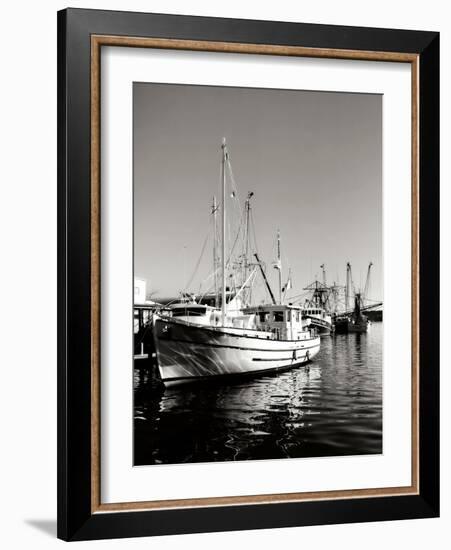 The Companera-Alan Hausenflock-Framed Photographic Print