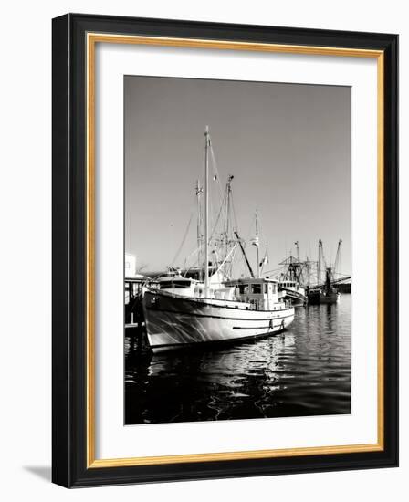 The Companera-Alan Hausenflock-Framed Photographic Print