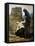 The Compassion, 1887-Pierre Puvis de Chavannes-Framed Premier Image Canvas