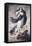 The Conception-Bartolome Esteban Murillo-Framed Premier Image Canvas