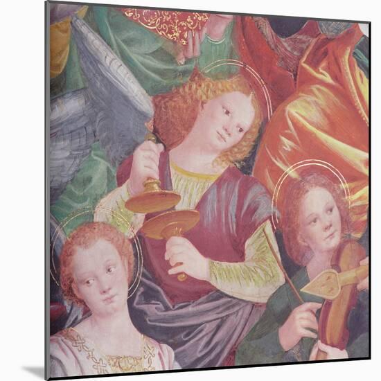 The Concert of Angels, 1534-36-Gaudenzio Ferrari-Mounted Giclee Print