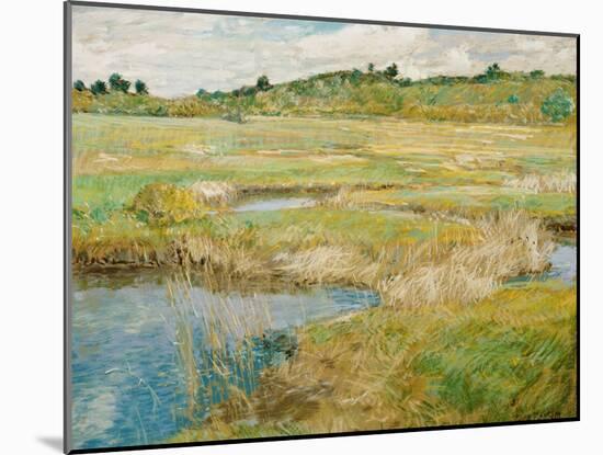 The Concord Meadow, C. 1890-Childe Hassam-Mounted Giclee Print