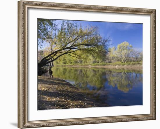 The Connecticut River in Maidstone, Vermont, USA-Jerry & Marcy Monkman-Framed Photographic Print