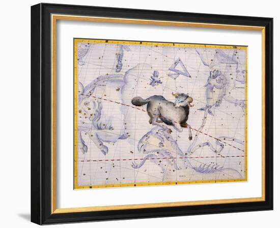 The Constellation of Aries by James Thornhill-Stapleton Collection-Framed Giclee Print