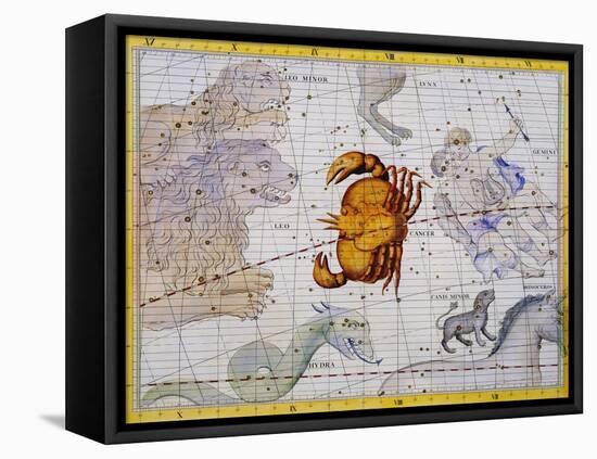 The Constellation of Cancer by James Thornhill-Stapleton Collection-Framed Premier Image Canvas