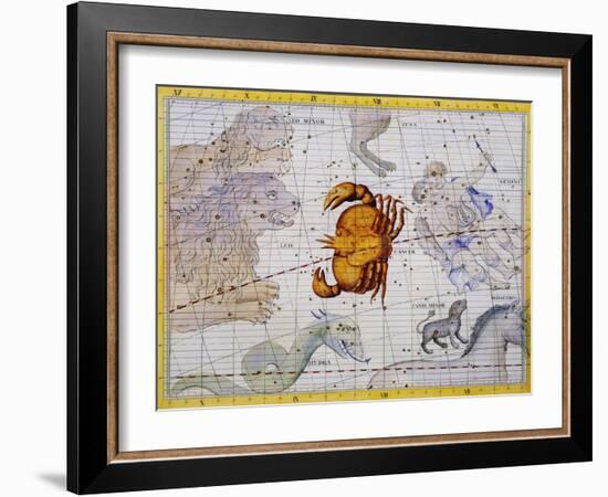 The Constellation of Cancer by James Thornhill-Stapleton Collection-Framed Giclee Print