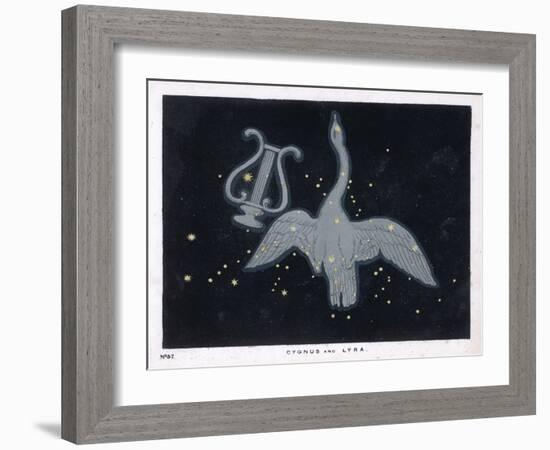 The Constellation of Cygnus, a Flying Swan, and Lyra, That of an Ancient Greek Lyre-Charles F. Bunt-Framed Art Print