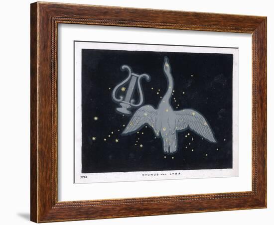 The Constellation of Cygnus, a Flying Swan, and Lyra, That of an Ancient Greek Lyre-Charles F. Bunt-Framed Art Print