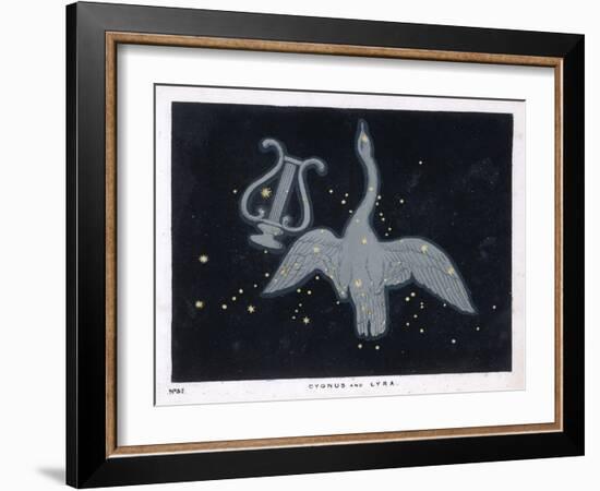 The Constellation of Cygnus, a Flying Swan, and Lyra, That of an Ancient Greek Lyre-Charles F. Bunt-Framed Art Print