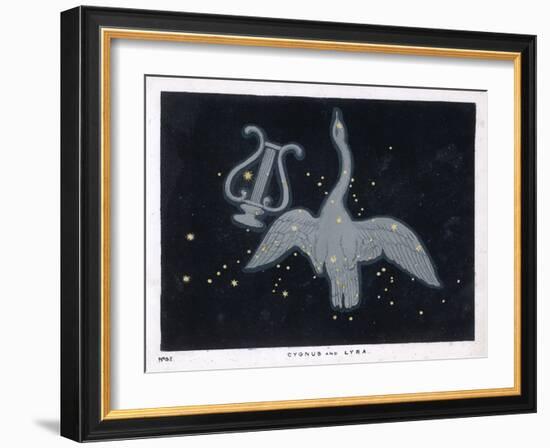 The Constellation of Cygnus, a Flying Swan, and Lyra, That of an Ancient Greek Lyre-Charles F. Bunt-Framed Art Print