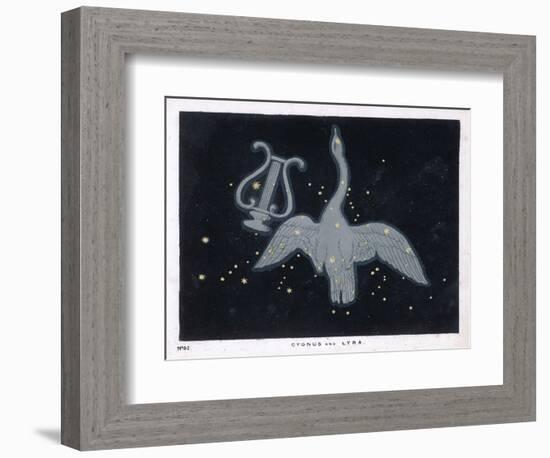 The Constellation of Cygnus, a Flying Swan, and Lyra, That of an Ancient Greek Lyre-Charles F. Bunt-Framed Premium Giclee Print