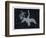 The Constellation of Cygnus, a Flying Swan, and Lyra, That of an Ancient Greek Lyre-Charles F. Bunt-Framed Premium Giclee Print