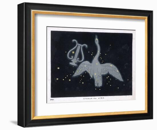 The Constellation of Cygnus, a Flying Swan, and Lyra, That of an Ancient Greek Lyre-Charles F. Bunt-Framed Premium Giclee Print
