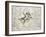 The Constellation of Gemini from Firmamentum Sobiescianum Sive Uranographia-null-Framed Giclee Print