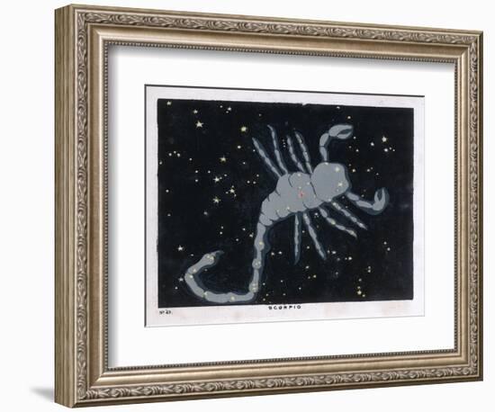 The Constellation of Scorpio, the Scorpion-null-Framed Art Print