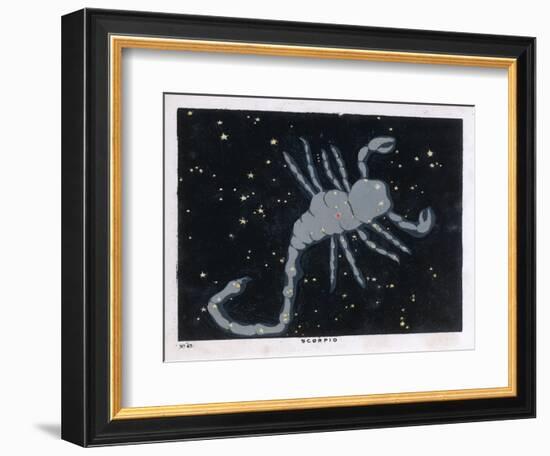 The Constellation of Scorpio, the Scorpion-null-Framed Art Print