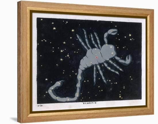 The Constellation of Scorpio, the Scorpion-null-Framed Stretched Canvas