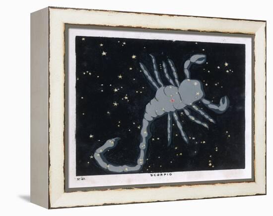 The Constellation of Scorpio, the Scorpion-null-Framed Stretched Canvas