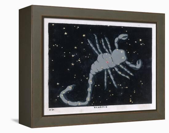 The Constellation of Scorpio, the Scorpion-null-Framed Stretched Canvas