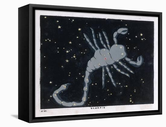 The Constellation of Scorpio, the Scorpion-null-Framed Stretched Canvas