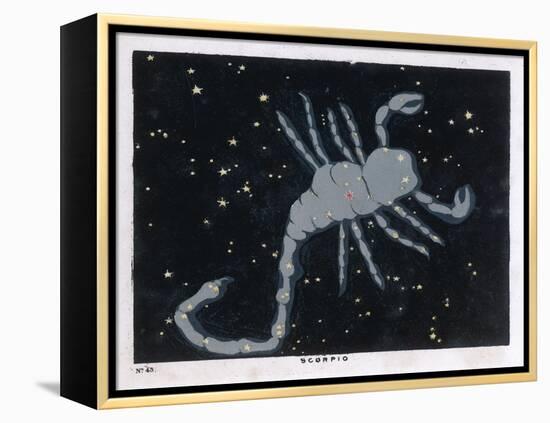 The Constellation of Scorpio, the Scorpion-null-Framed Stretched Canvas